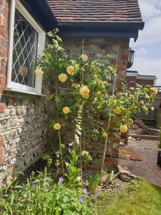Delightful Cottage On The River Adur Close To Brighton & The Downs No Dogs Sorry Upper Beeding Dış mekan fotoğraf